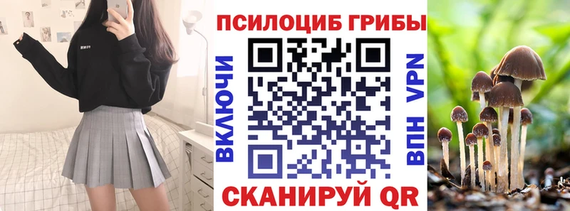 кракен tor  Цивильск  Псилоцибиновые грибы MAGIC MUSHROOMS 